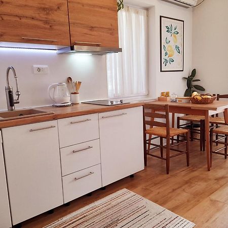 Central Modern Apt With Garden Struga Dış mekan fotoğraf