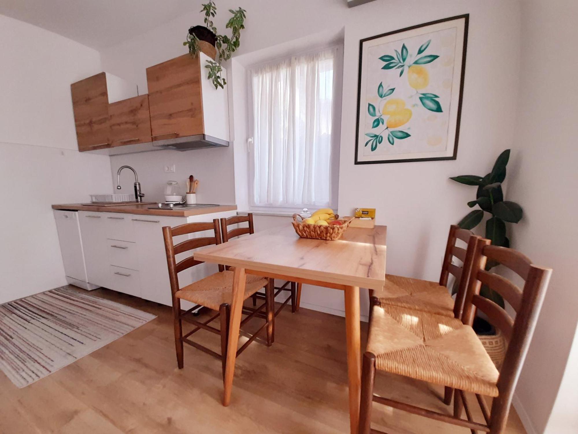 Central Modern Apt With Garden Struga Dış mekan fotoğraf